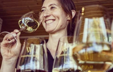 Winzerhof Wille | © Winzerhof Wille