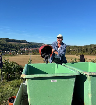 Wölpper Weine | © Wölpper Weine