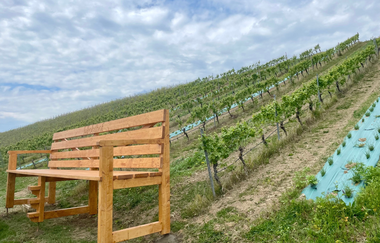 XXL Bank Markelsheim | © Unbekannt