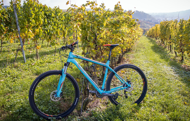 3-Bäche Rundtour | © Landratsamt Rhein-Neckar-Kreis