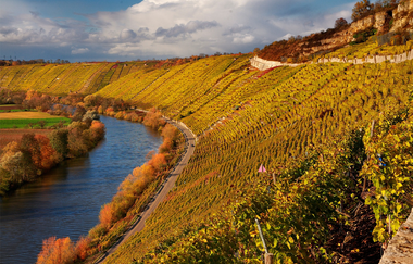 3B-Land: Felsengarten-Tour | © Felsengartenkellerei Besigheim eG
