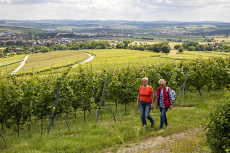 3B-Land: Lemberger-Tour | © Land der 1000 Hügel - Kraichgau-Stromberg