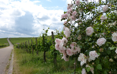 3B-Land: Mettertal-Tour