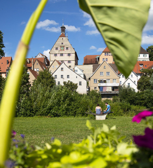 Blick auf die Altstadt von Besigheim mit historischen Gebäuden, umrahmt von grünen Pflanzen und bunten Blumen im Vordergrund. | © Stadt Besigheim
