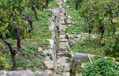 3B-Land: Steillagen-Tour | © Land der 1000 Hügel - Kraichgau-Stromberg