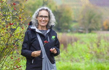 Naturführung | © Stadt Bönnigheim