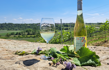 Naturspaziergang mit Verkostung | © Stadt Bönnigheim