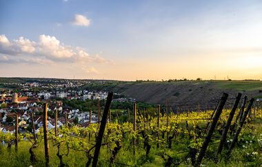Aussichtsreich Walheim Schönste Weinsicht | © Kraichgau-Stromberg Tourismus e.V.
