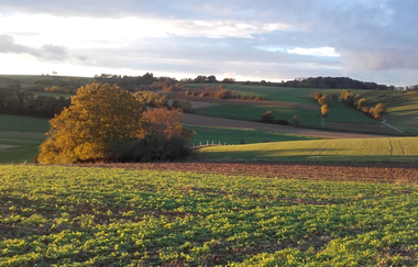 Aufnahme von einer landwirtschaftlichen Fläche | © Land der 1000 Hügel - Kraichgau-Stromberg