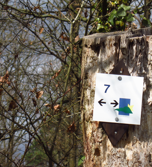 Am Blumenband entlang nach Diefenbach | © Land der 1000 Hügel - Kraichgau-Stromberg