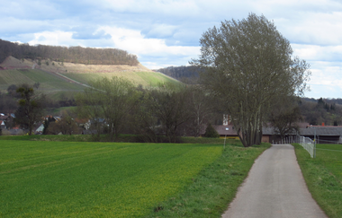 Am Blumenband entlang nach Diefenbach | © Land der 1000 Hügel - Kraichgau-Stromberg