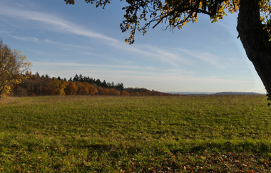 Am Blumenband entlang nach Diefenbach | © Land der 1000 Hügel - Kraichgau-Stromberg