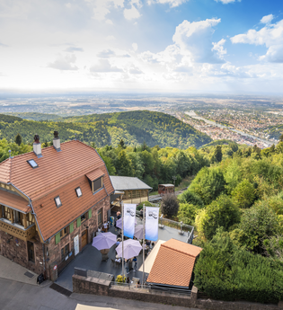 Blick vom Königstuhl auf die Rheinebene | © Heidelberg Marketing