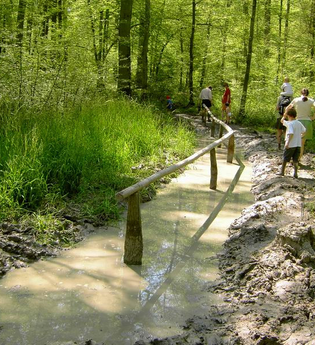 Barfußpfad Kohlplattenwald | © interne Aufnahme