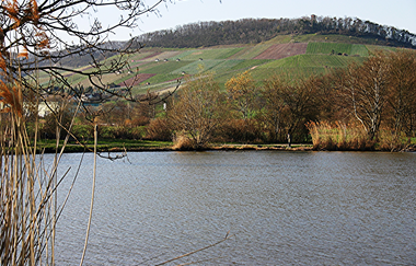 Bartenberg-Rundweg | © Land der 1000 Hügel - Kraichgau-Stromberg