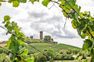 Burg Ravensburg im Fokus | © Thomas Rebel