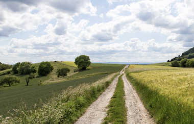 Bergsträßer Burgensteig - Etappe 3: von Bensheim-Auerbach nach Heppenheim | © Roland Robra