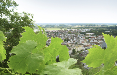 Bergsträßer Burgensteig - Etappe 4: von Heppenheim nach Hemsbach | © Bettina Gessinger