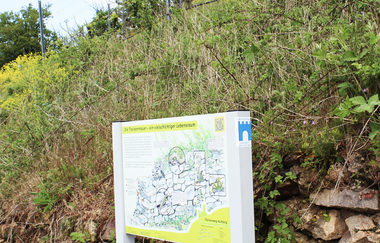 Bergsträßer Burgensteig - Etappe 6: von Weinheim nach Hirschberg-Großsachsen | © Brigitte Zimmermann Petrullat