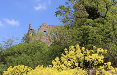 Bergsträßer Burgensteig - Etappe 8: von Schriesheim nach Dossenheim | © Brigitte Zimmermann Petrullat
