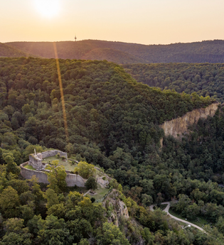 Bergsträßer Burgensteig - Etappe 9: von Dossenheim nach Heidelberg | © Thomas Fischer