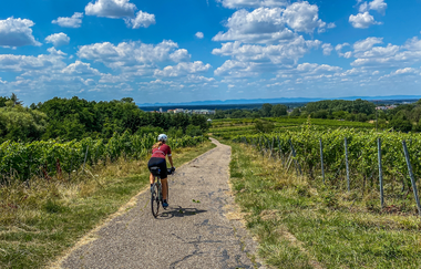 Bikepacking-Overnighter: Gravelbike-Tour von Mannheim nach Stuttgart – Etappe 1 (Mannheim - Sulzfeld) | © Land der 1000 Hügel - Kraichgau-Stromberg