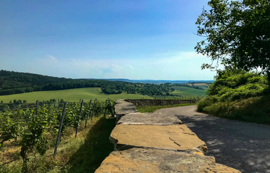 Bikepacking-Overnighter: Gravelbike-Tour von Mannheim nach Stuttgart –  Etappe 2 (Sulzfeld - Stuttgart) | © Land der 1000 Hügel - Kraichgau-Stromberg