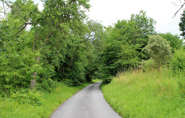 Bössinger Wald-Trail | © Unbekannt