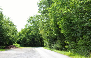 Bössinger Wald-Trail | © Unbekannt