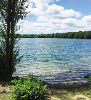 BR11 - Büchenauer Hardt; Südstadt, Baggerseen Untergrombach und Büchenau