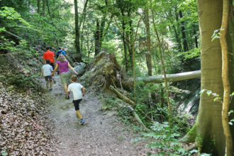 BR13 - Untergrombach Ungeheuerklamm Weiertle