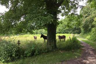 BR5 - Panoramarunde Schlachthof und Langental | © BTMV GmbH