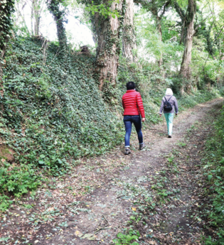 BR7 - Hohlwegewanderung Naturschutzgebiet Rotenberg und Steinbruch Steiner