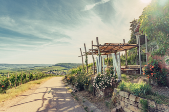 Weinausschank im Zweifelberg | Weinsüden Weinort Brackenheim | HeilbronnerLand | © Touristikgemeinschaft HeilbronnerLand