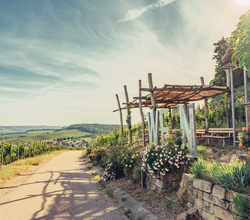 Weinausschank im Zweifelberg | Weinsüden Weinort Brackenheim | HeilbronnerLand | © Touristikgemeinschaft HeilbronnerLand