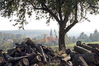 Bretten/Bauerbach: Talbrücken-Rundweg | © Bildband Bretten