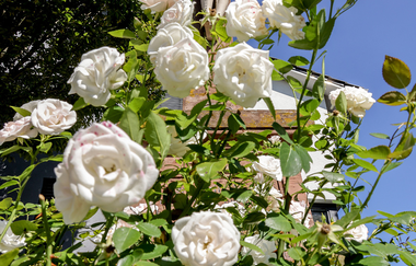 Bauerbacher Wegkreuz | © Thomas Rebel für Stadt Bretten