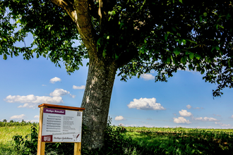 Bretten/Büchig - Büchiger Gedichteweg | © Stadt Bretten
