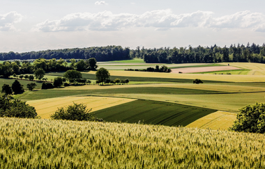 Bretten/Büchig - Büchiger Gedichteweg | © Stadt Bretten