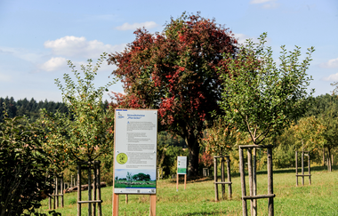 Bretten/Gölshausen: Streuobstwiesenpfad | © Stadtverwaltung Bretten
