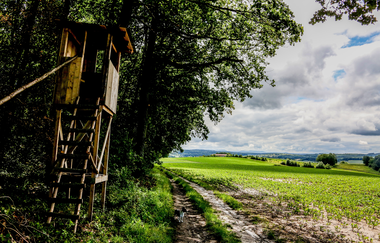 Bretten: Hans-Entenkopf-Weg | © Stadt Bretten