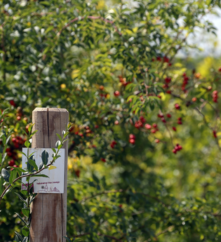 Bretten/Neibsheim: Neibsheimer Gemarkung | © Stadt Bretten