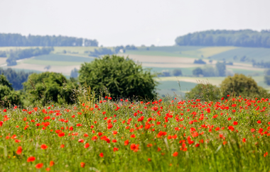 Bretten/Neibsheim: Neibsheimer Gemarkung | © Stadt Bretten