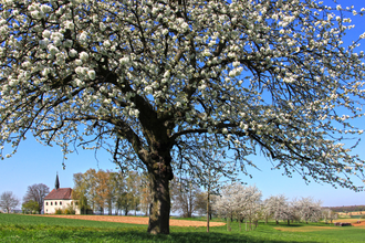 Bretten/Neibsheim und Büchig: Kapellenweg | © Stadt Bretten