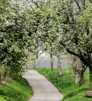 Bretten/Neibsheim: Wegkreuze und Bildstöcke | © Stadt Bretten
