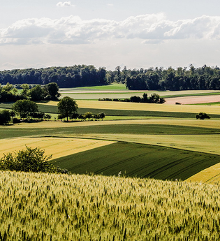 BT1 - Großer Brettener Südweg | © Thomas Rebel für Stadt Bretten