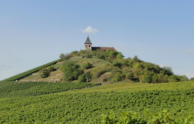 CB1 Wanderdreiklang Cleebronn | Wanderdreiklang | Blick auf den Michaelsberg mit Michaelskirche | © Neckar-Zaber-Tourismus e.V.