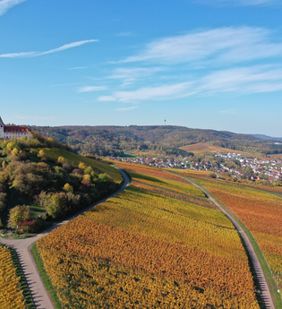 Cleebronn Michaelsberg | HeilbronnerLand | © Privatkellerei Storz - WeinFamilienTradition
