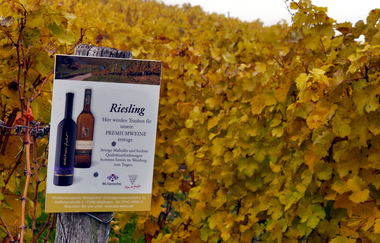 Durch den Alten Keller von Sternenfels nach Diefenbach | © Land der 1000 Hügel - Kraichgau-Stromberg