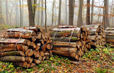 Durch den Alten Keller von Sternenfels nach Diefenbach | © Land der 1000 Hügel - Kraichgau-Stromberg